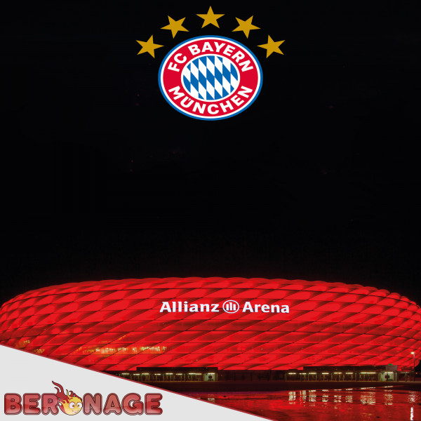 FC Bayern München Bettwäsche Allianz Arena 135x200cm / 80x80cm Biber / Flanell