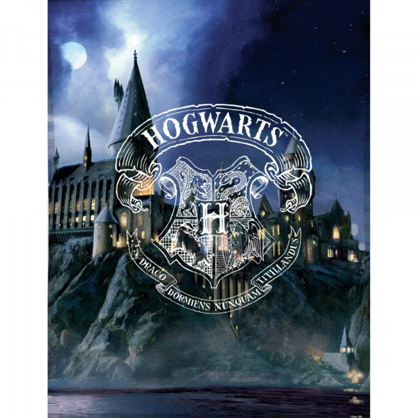 Harry Potter Decke Castle 130x170