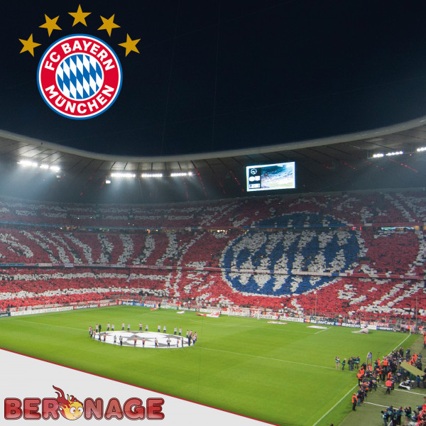 FC Bayern München Bettwäsche Allianz Arena 135x200cm / 80x80cm Biber / Flanell