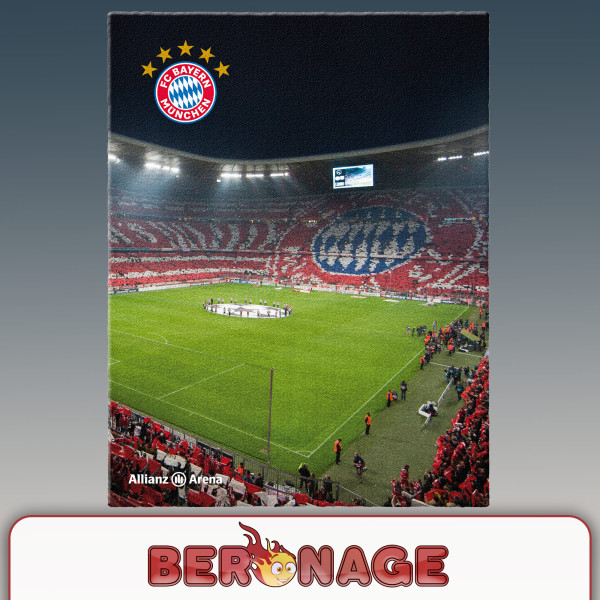 FC Bayern München Teppich Allianz Arena 100x120 cm