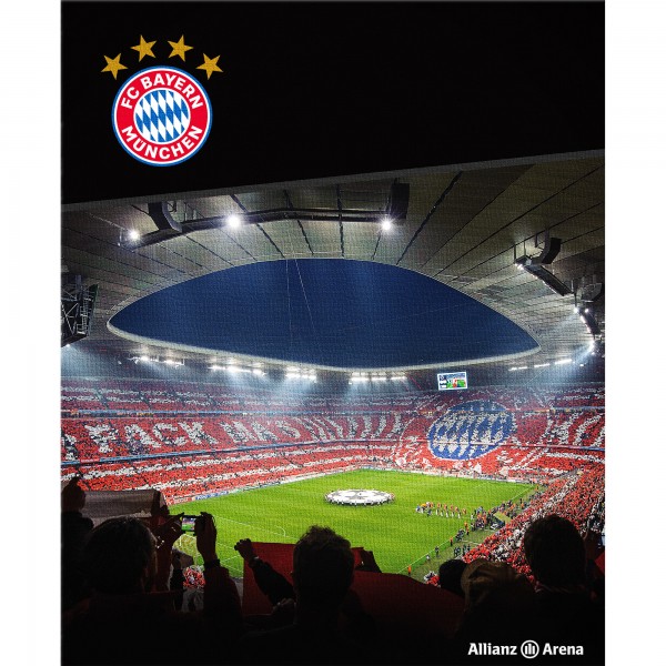 FC Bayern München Teppich Allianz Arena 100x120