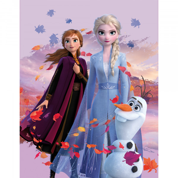 Kinderteppich Frozen Die Eiskönigin Dreamteam 100x133