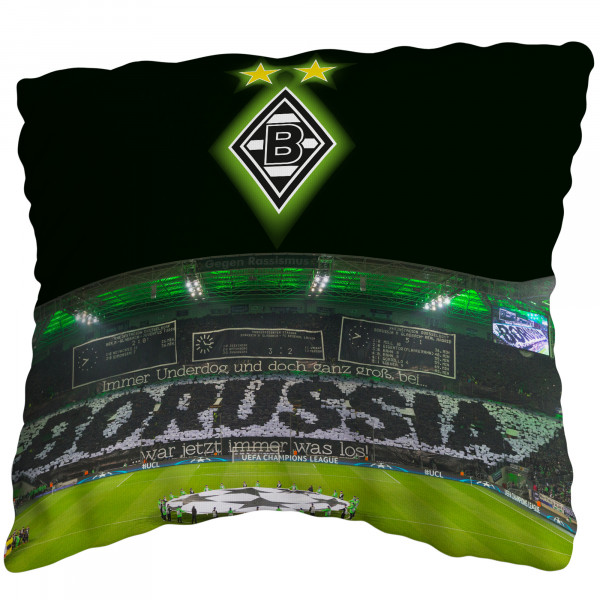Borussia Mönchengladbach Kissen Borussia Park 40x40