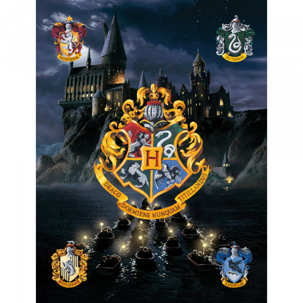Kinderteppich Harry Potter Hogwarts 100x133