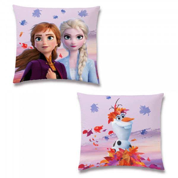 Frozen Die Eiskönigin Dreamteam Bettwäsche Biber / Flanell